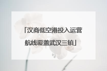 汉商低空港投入运营 航线覆盖武汉三镇