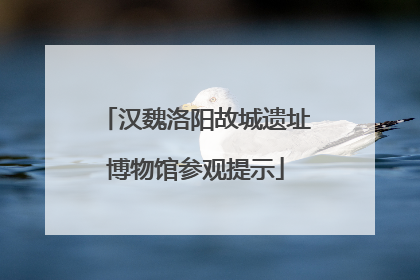 汉魏洛阳故城遗址博物馆参观提示