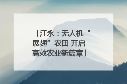 江永：无人机“展翅”农田 开启高效农业新篇章