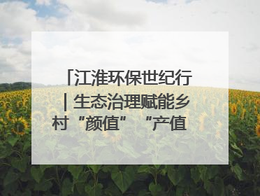 江淮环保世纪行｜生态治理赋能乡村“颜值”“产值”双提升