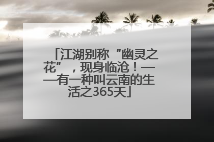 江湖别称“幽灵之花”，现身临沧！——有一种叫云南的生活之365天