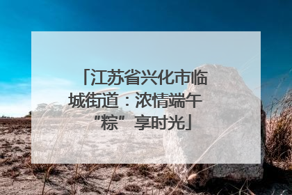 江苏省兴化市临城街道：浓情端午 “粽”享时光