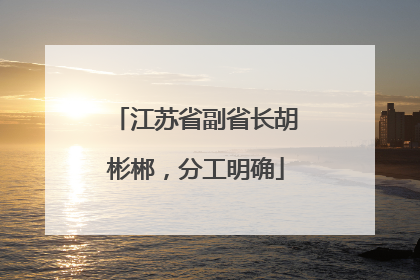 江苏省副省长胡彬郴，分工明确