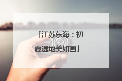 江苏东海：初夏湿地美如画