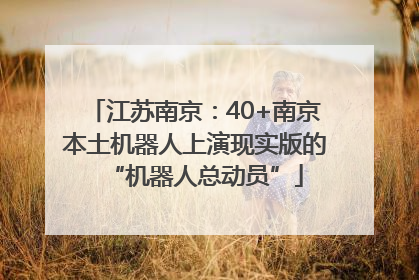 江苏南京：40+南京本土机器人上演现实版的“机器人总动员”