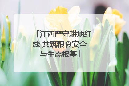 江西严守耕地红线 共筑粮食安全与生态根基