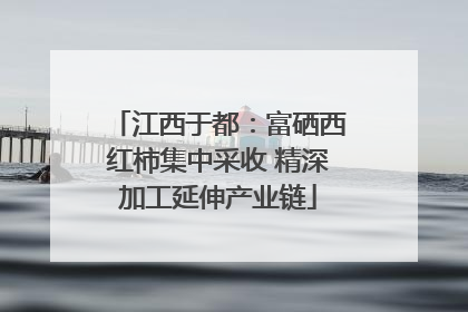 江西于都：富硒西红柿集中采收 精深加工延伸产业链