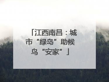 江西南昌：城市“绿岛”助候鸟“安家”