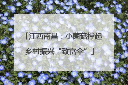 江西南昌：小菌菇撑起乡村振兴“致富伞”