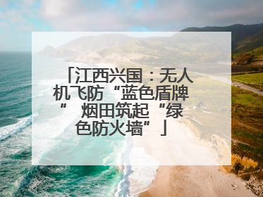 江西兴国：无人机飞防“蓝色盾牌” 烟田筑起“绿色防火墙”