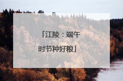 江陵：端午时节种好粮