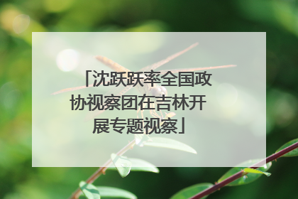沈跃跃率全国政协视察团在吉林开展专题视察