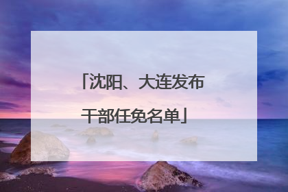 沈阳、大连发布干部任免名单