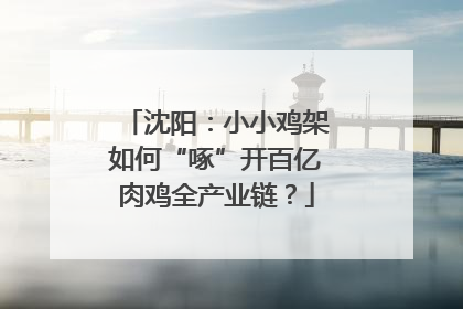 沈阳：小小鸡架如何“啄”开百亿肉鸡全产业链？