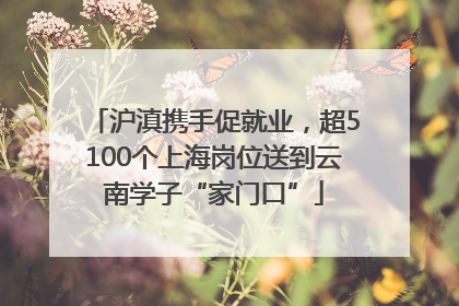 沪滇携手促就业，超5100个上海岗位送到云南学子“家门口”