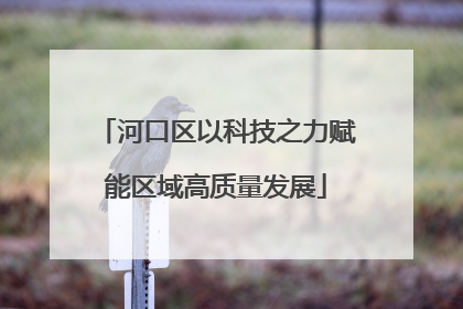 河口区以科技之力赋能区域高质量发展