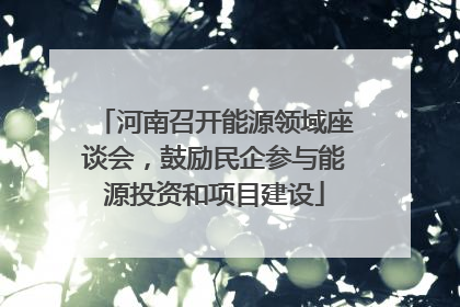 河南召开能源领域座谈会，鼓励民企参与能源投资和项目建设