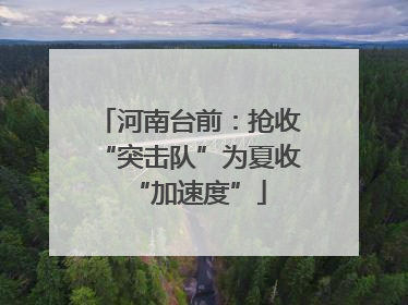 河南台前：抢收“突击队”为夏收“加速度”