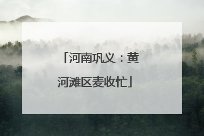 河南巩义：黄河滩区麦收忙