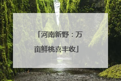 河南新野：万亩鲜桃喜丰收