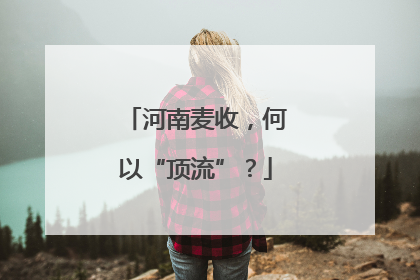 河南麦收，何以“顶流”？