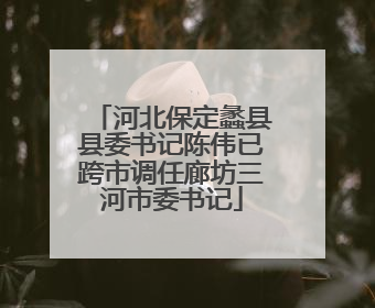 河北保定蠡县县委书记陈伟已跨市调任廊坊三河市委书记
