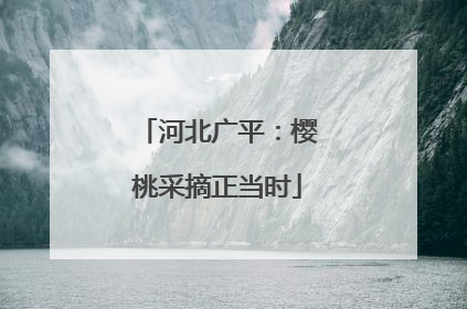河北广平：樱桃采摘正当时