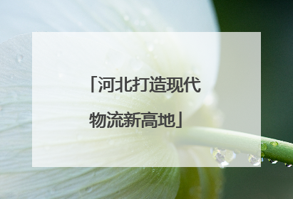 河北打造现代物流新高地