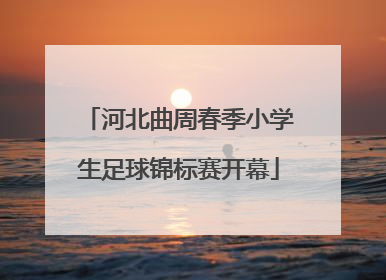河北曲周春季小学生足球锦标赛开幕
