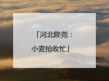 河北隆尧：小麦抢收忙