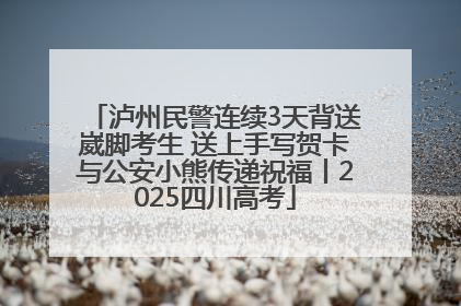 泸州民警连续3天背送崴脚考生 送上手写贺卡与公安小熊传递祝福丨2025四川高考