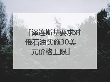 泽连斯基要求对俄石油实施30美元价格上限
