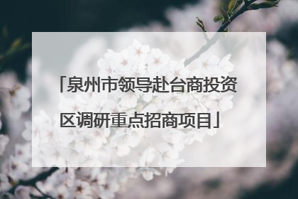 泉州市领导赴台商投资区调研重点招商项目