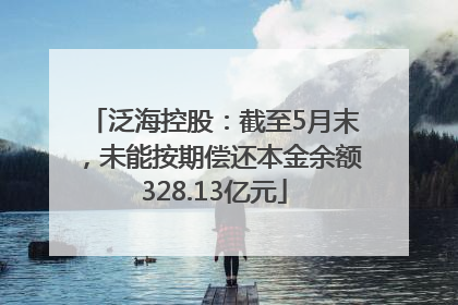 泛海控股：截至5月末，未能按期偿还本金余额328.13亿元