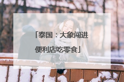 泰国：大象闯进便利店吃零食
