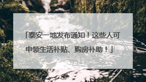 泰安一地发布通知！这些人可申领生活补贴、购房补助！