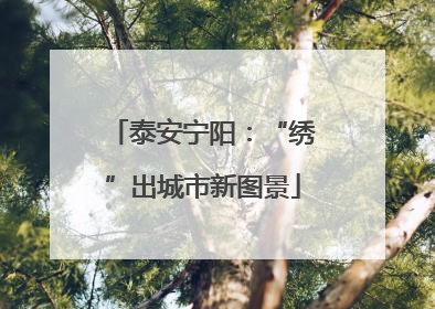 泰安宁阳：“绣”出城市新图景