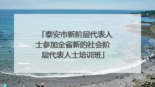 泰安市新阶层代表人士参加全省新的社会阶层代表人士培训班