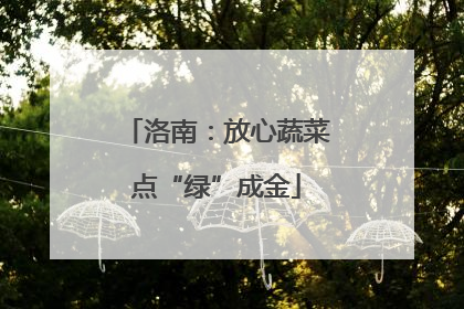 洛南：放心蔬菜点“绿”成金