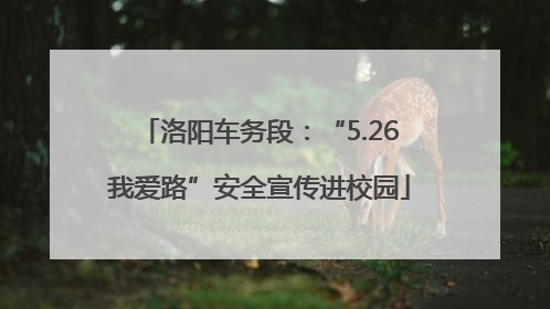洛阳车务段：“5.26我爱路”安全宣传进校园