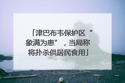津巴布韦保护区“象满为患”，当局称将扑杀供居民食用