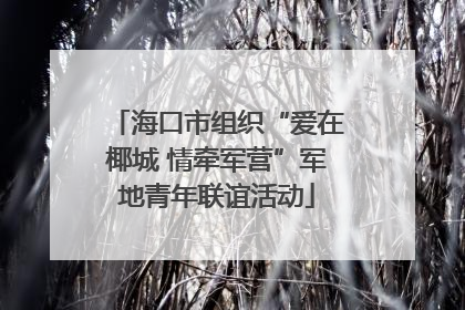 海口市组织“爱在椰城 情牵军营”军地青年联谊活动