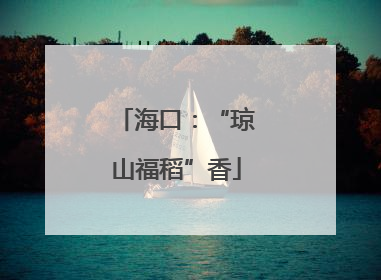 海口：“琼山福稻”香