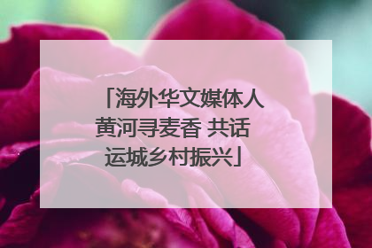 海外华文媒体人黄河寻麦香 共话运城乡村振兴