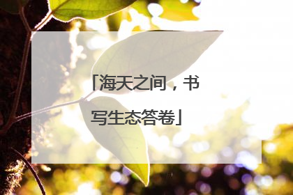 海天之间，书写生态答卷