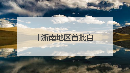 浙南地区首批自有TIR车辆启程 “购车远航”助推外贸发展