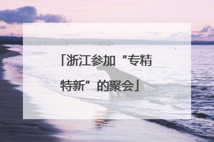 浙江参加“专精特新”的聚会