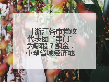 浙江各市党政代表团“串门”为哪般？鲍金：重塑省域经济地理的破题之道