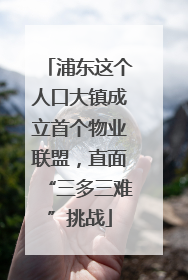 浦东这个人口大镇成立首个物业联盟，直面“三多三难”挑战