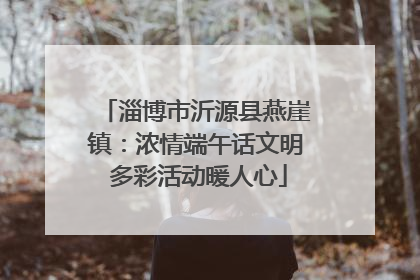 淄博市沂源县燕崖镇：浓情端午话文明 多彩活动暖人心